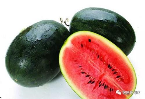 黑料正能量 体育圈的瓜是什么意思 吃瓜视频网站,一场关于真相与舆论的较量