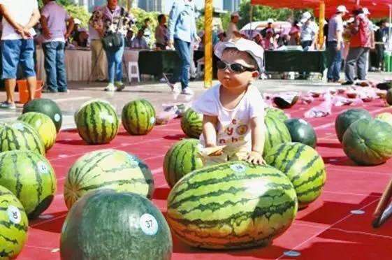 在线吃瓜--今日大赛,今日大赛精彩瞬间大盘点