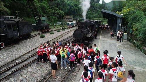 黑料网网曝门 热门大瓜子,热门大瓜子的背后真相揭秘