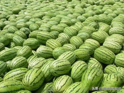 热门大瓜 今日吃瓜,揭秘娱乐圈最新爆料，吃瓜群众齐围观！