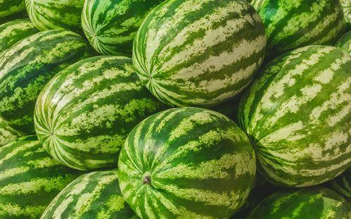 热门大瓜 今日吃瓜,揭秘娱乐圈最新爆料，吃瓜群众齐围观！