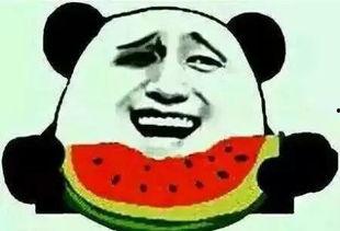 吃瓜有理报料无罪,揭秘网络舆论背后的真相