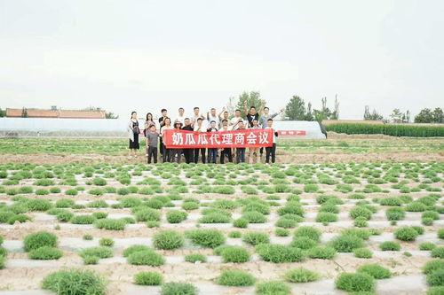 瓜瓜基地,绿色生态农业的璀璨明珠