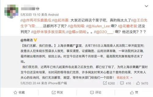 社会热点话题事件2025 网红黑料在线,网红黑料风波下的网络伦理与法治挑战